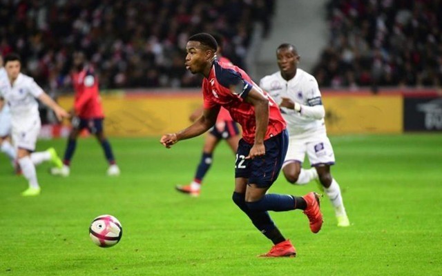 终结略显犹 终结略显犹